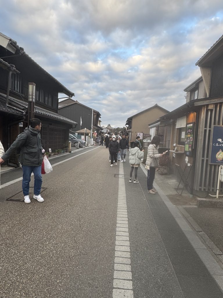 犬山,成田山,ヨサコイ,犬山城,犬山城城下町